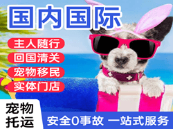 安顺黄果树国际宠物托运 【国